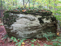 Striated boulder on the way up Romer Mountain. Photo by Daniel Chazin.